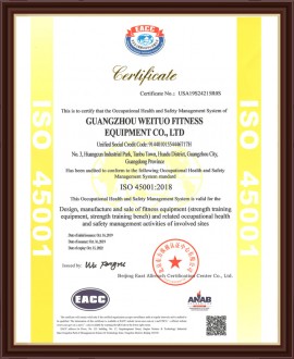 ISO 45001 2008